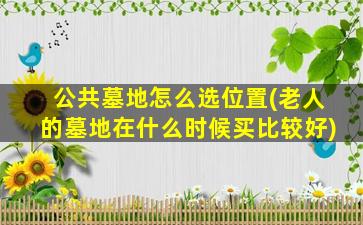 公共墓地怎么选位置(老人的墓地在什么时候买比较好)