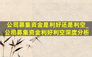 公司募集资金是利好还是利空_公司募集资金利好利空深度分析
