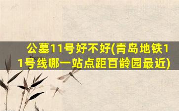 公墓11号好不好(青岛地铁11号线哪一站点距百龄园最近)