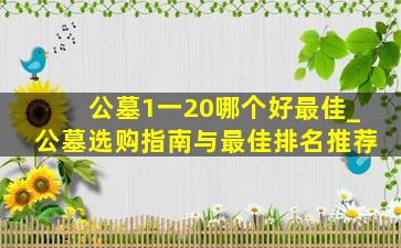 公墓1一20哪个好最佳_公墓选购指南与最佳排名推荐