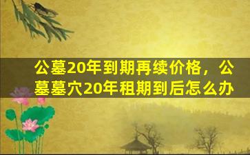 公墓20年到期再续价格，公墓墓穴20年租期到后怎么办