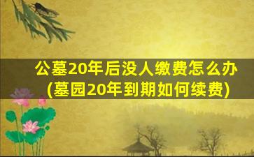 公墓20年后没人缴费怎么办(墓园20年到期如何续费)