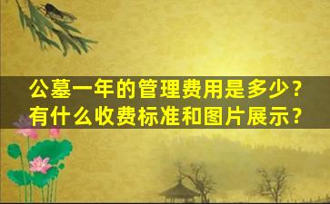 公墓一年的管理费用是多少？有什么收费标准和图片展示？