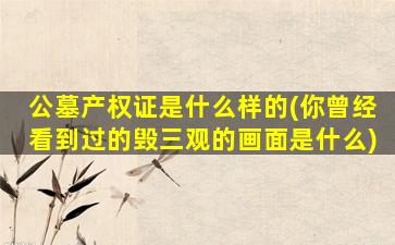 公墓产权证是什么样的(你曾经看到过的毁三观的画面是什么)