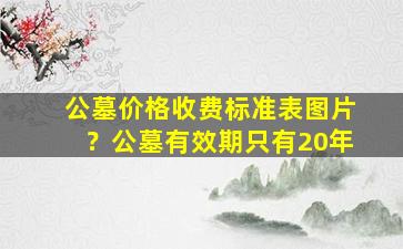公墓价格收费标准表图片？公墓有效期只有20年