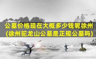 公墓价格现在大概多少钱呢徐州(徐州驼龙山公墓是正规公墓吗)