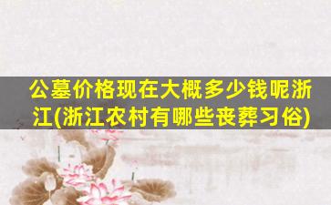 公墓价格现在大概多少钱呢浙江(浙江农村有哪些丧葬习俗)