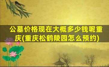 公墓价格现在大概多少钱呢重庆(重庆松鹤陵园怎么预约)