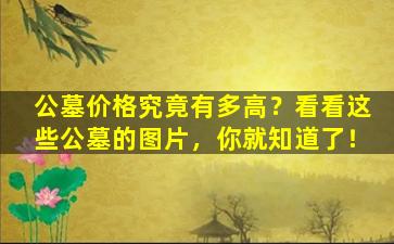公墓价格究竟有多高？看看这些公墓的图片，你就知道了！