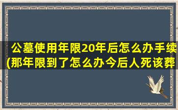 公墓使用年限20年后怎么办手续(那年限到了怎么办今后人死该葬在哪里)