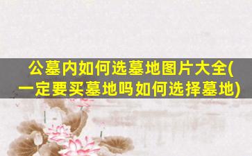 公墓内如何选墓地图片大全(一定要买墓地吗如何选择墓地)