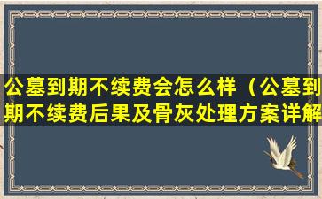 公墓到期不续费会怎么样（公墓到期不续费后果及骨灰处理方案详解）