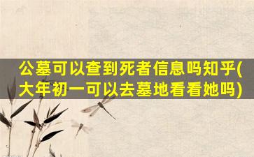 公墓可以查到死者信息吗知乎(大年初一可以去墓地看看她吗)