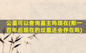 公墓可以查询墓主吗现在(那一百年后现在的坟墓还会存在吗)
