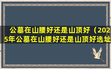公墓在山腰好还是山顶好（2025年公墓在山腰好还是山顶好选址专家建议）