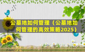 公墓地如何管理（公墓地如何管理的高效策略2025）