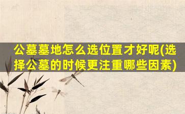 公墓墓地怎么选位置才好呢(选择公墓的时候更注重哪些因素)