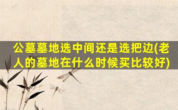 公墓墓地选中间还是选把边(老人的墓地在什么时候买比较好)