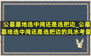 公墓墓地选中间还是选把边_公墓墓地选中间还是选把边的风水考量与选择建议