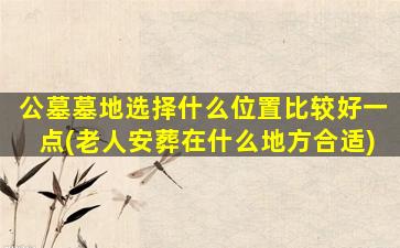公墓墓地选择什么位置比较好一点(老人安葬在什么地方合适)