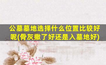 公墓墓地选择什么位置比较好呢(骨灰撒了好还是入墓地好)