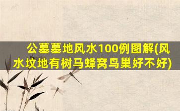 公墓墓地风水100例图解(风水坟地有树马蜂窝鸟巢好不好)