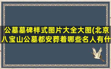 公墓墓碑样式图片大全大图(北京八宝山公墓都安葬着哪些名人有什么故事)