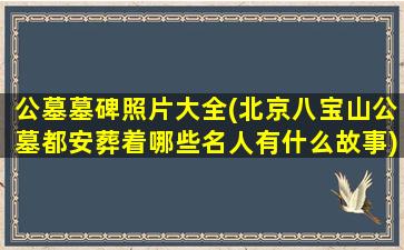 公墓墓碑照片大全(北京八宝山公墓都安葬着哪些名人有什么故事)
