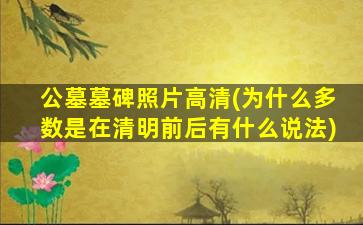 公墓墓碑照片高清(为什么多数是在清明前后有什么说法)