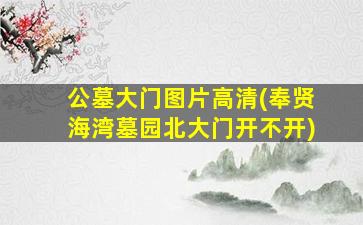 公墓大门图片高清(奉贤海湾墓园北大门开不开)