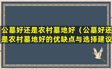 公墓好还是农村墓地好（公墓好还是农村墓地好的优缺点与选择建议）