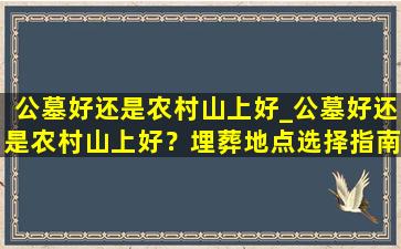 公墓好还是农村山上好_公墓好还是农村山上好？埋葬地点选择指南
