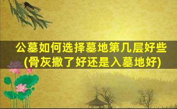 公墓如何选择墓地第几层好些(骨灰撒了好还是入墓地好)