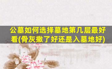 公墓如何选择墓地第几层最好看(骨灰撒了好还是入墓地好)
