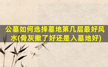 公墓如何选择墓地第几层最好风水(骨灰撒了好还是入墓地好)