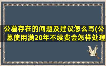 公墓存在的问题及建议怎么写(公墓使用满20年不续费会怎样处理)