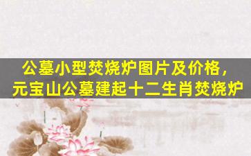 公墓小型焚烧炉图片及价格，元宝山公墓建起十二生肖焚烧炉