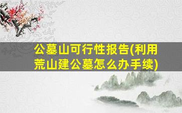 公墓山可行性报告(利用荒山建公墓怎么办手续)