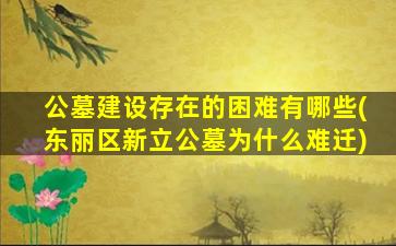 公墓建设存在的困难有哪些(东丽区新立公墓为什么难迁)