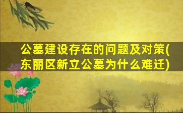 公墓建设存在的问题及对策(东丽区新立公墓为什么难迁)
