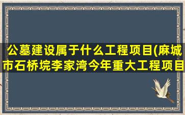 公墓建设属于什么工程项目(麻城市石桥垸李家湾今年重大工程项目)