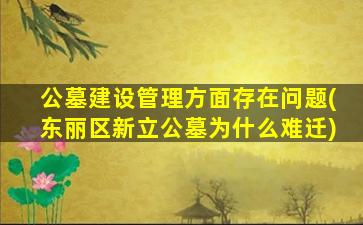 公墓建设管理方面存在问题(东丽区新立公墓为什么难迁)