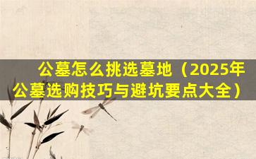 公墓怎么挑选墓地（2025年公墓选购技巧与避坑要点大全）