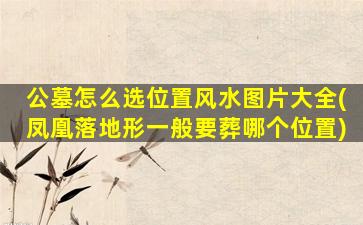 公墓怎么选位置风水图片大全(凤凰落地形一般要葬哪个位置)