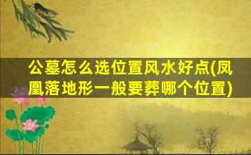 公墓怎么选位置风水好点(凤凰落地形一般要葬哪个位置)