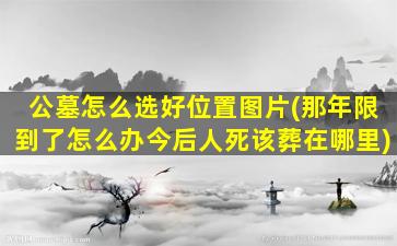 公墓怎么选好位置图片(那年限到了怎么办今后人死该葬在哪里)