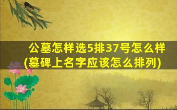 公墓怎样选5排37号怎么样(墓碑上名字应该怎么排列)