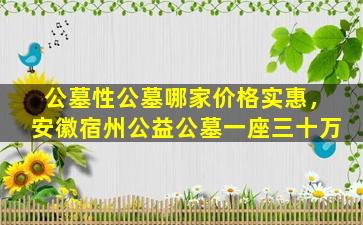 公墓性公墓哪家价格实惠，安徽宿州公益公墓一座三十万