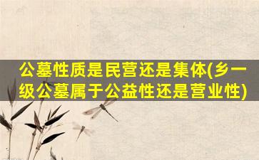 公墓性质是民营还是集体(乡一级公墓属于公益性还是营业性)