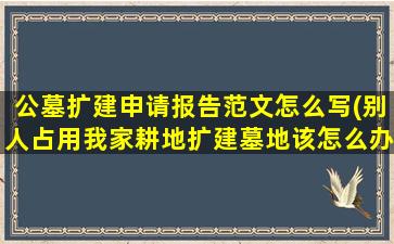 公墓扩建申请报告范文怎么写(别人占用我家耕地扩建墓地该怎么办)